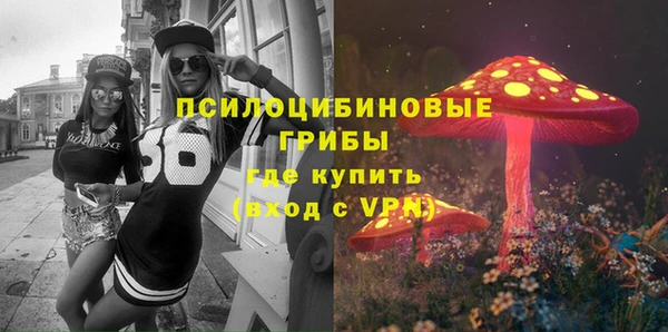 прущая мука Бородино