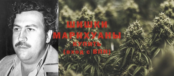 прущая мука Бородино