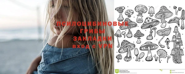 прущая мука Бородино