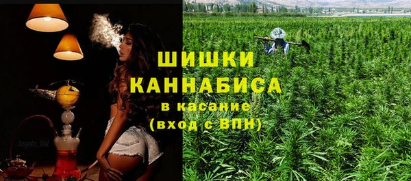 прущая мука Бородино